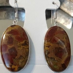 Unique colors Bamboo Jasper gemstone Earrings